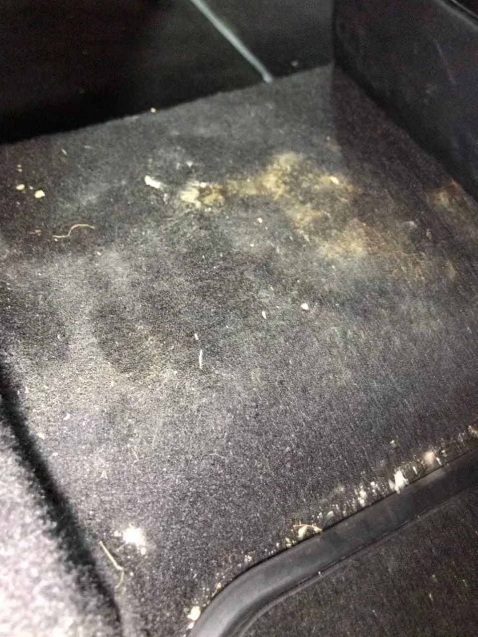 Автомийка Ама Автомийка Ама