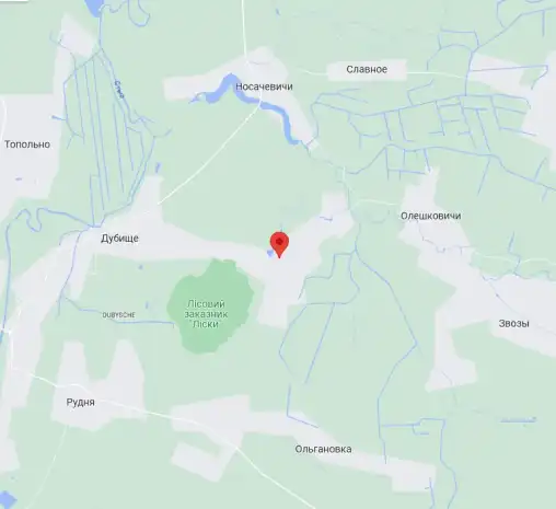 СТО  Дубище